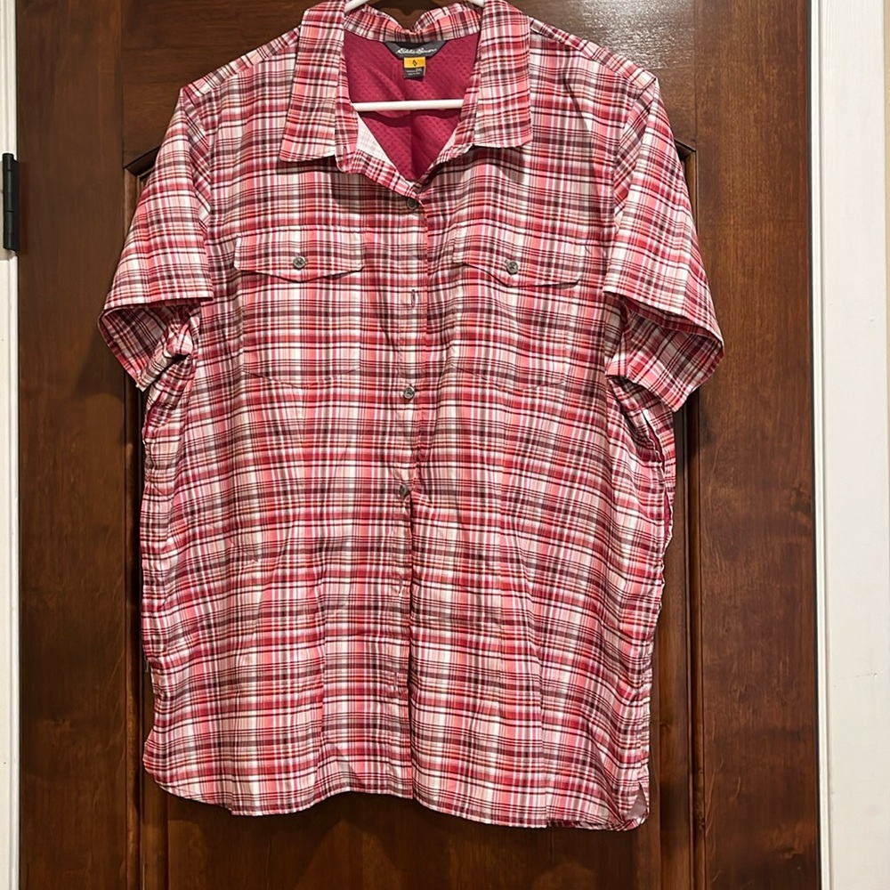 Button Down Shirt